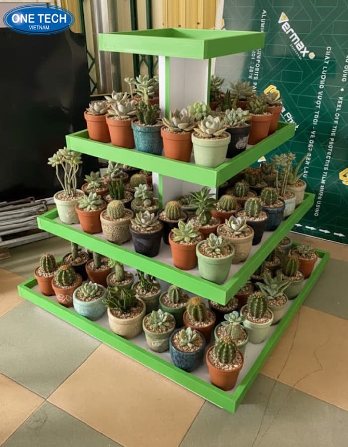 Giá kệ trưng bày sen đá hình vuông