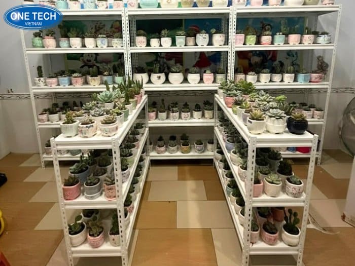 Kệ V cài để sen đá