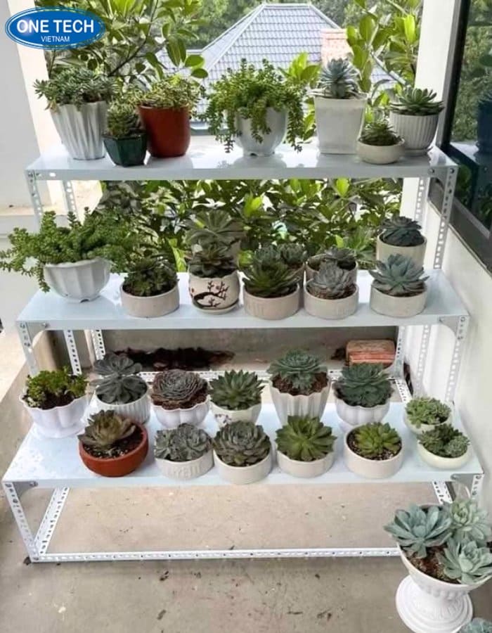Kệ bậc thang cho cửa hàng cây cảnh