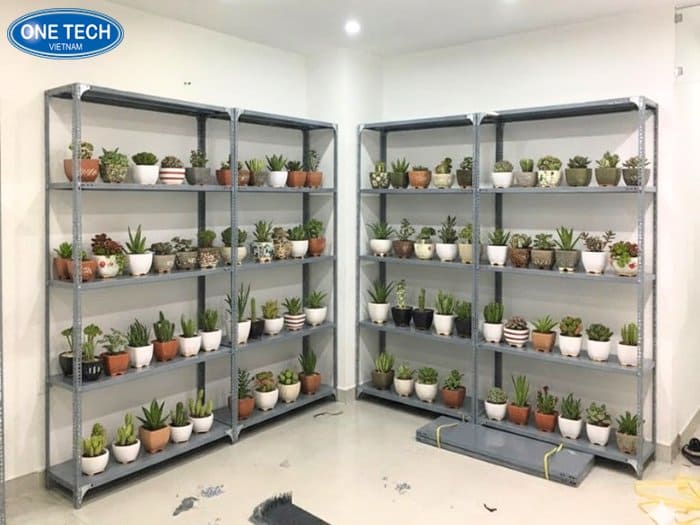 Kệ để sen đá ngoài trời V lỗ giá rẻ