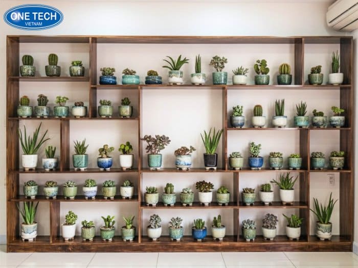 Kệ gỗ tự nhiên, mộc mạc cho cửa hàng sen đá