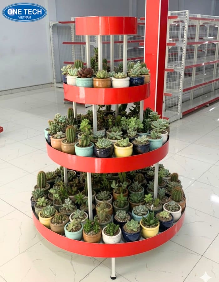 Kệ tròn độc đáo bày sen đá thêm nổi bật