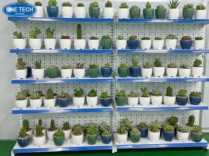 Mua kệ trưng bày sen đá ở đâu chất lượng