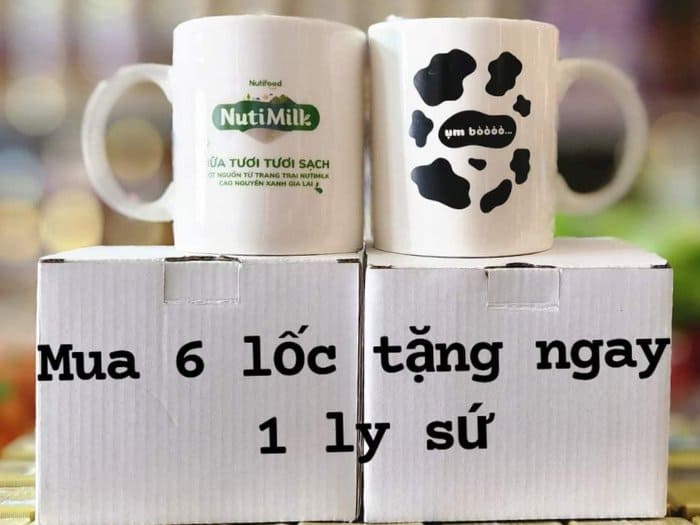 Các chiến lược Marketing phù hợp