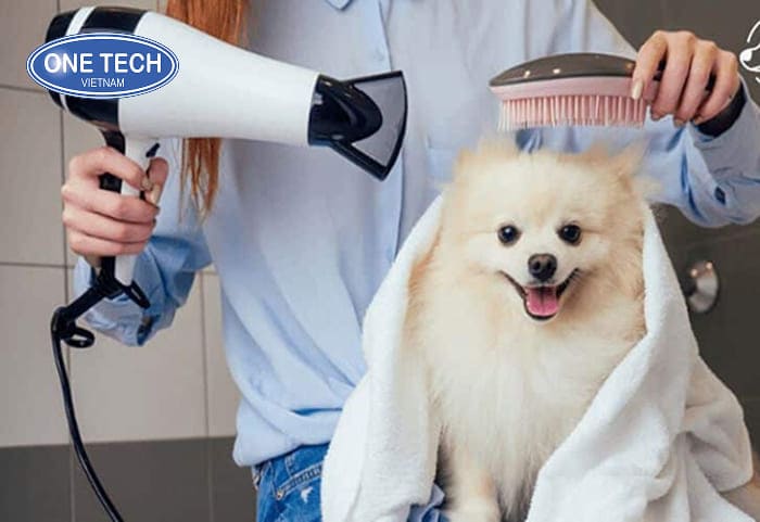 Dịch vụ chăm sóc thú cưng tại nhà