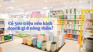 Có 500 triệu nên kinh doanh gì ở nông thôn