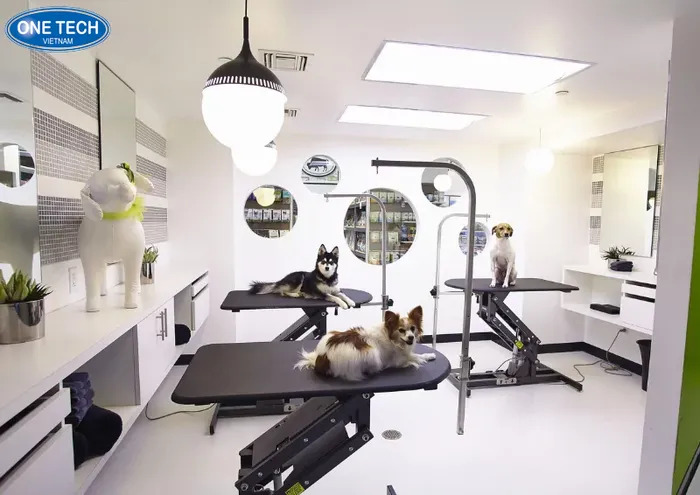 Kinh doanh shop thú cưng và dịch vụ chăm sóc