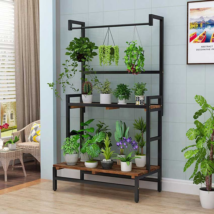 Địa chỉ mua kệ gỗ để cây cảnh trong nhà đẹp, vận chuyển tận nơi