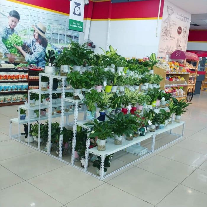 Kệ để cây cảnh 4 tầng 2 mặt thiết kế V lỗ