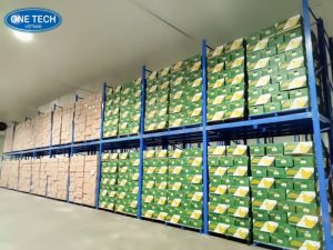 Khi nào nên dùng kệ kho hàng nông sản