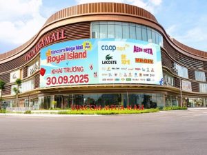 Giới thiệu chung về dự án kệ siêu thị tại Hải Phòng