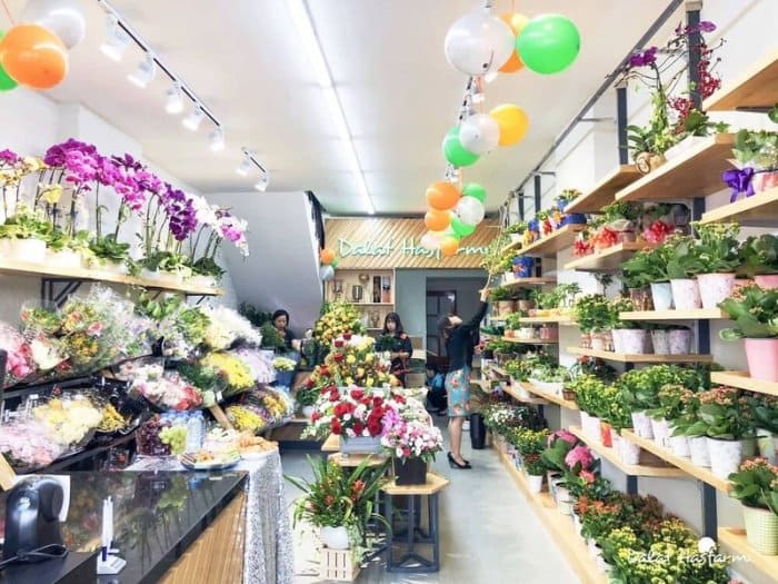 Mẫu thiết kế cửa hàng hoa tươi 10