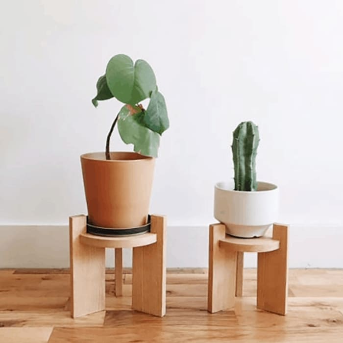 Kệ để bonsai mini trên bàn