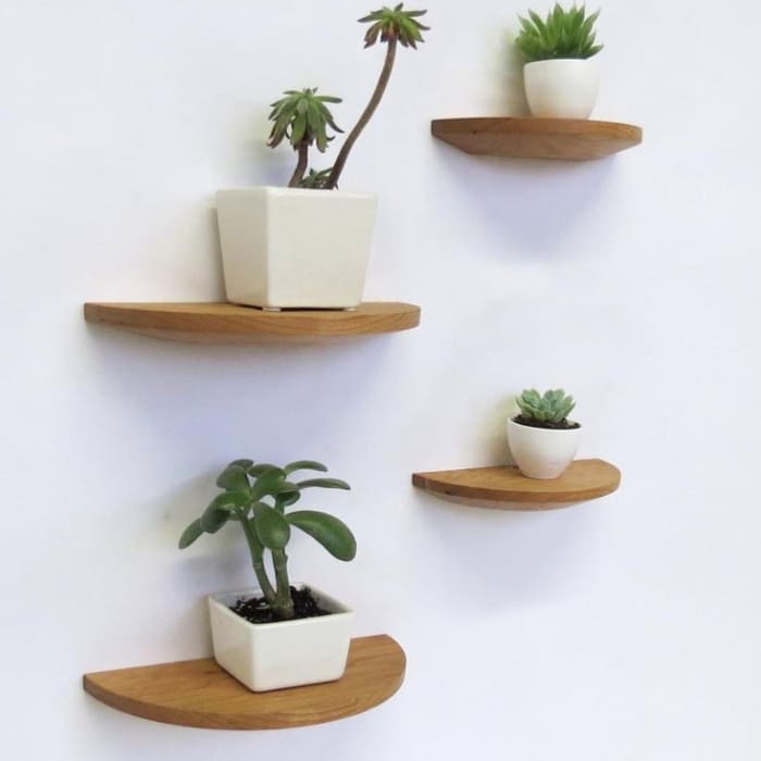 Kệ gắn tường để cây bonsai mini