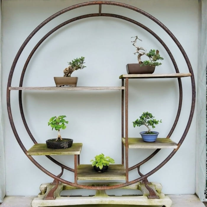 Kệ để bonsai hình tròn