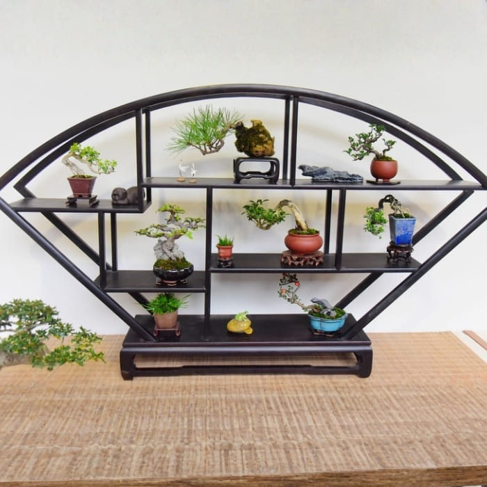 Kệ để cây bonsai 01