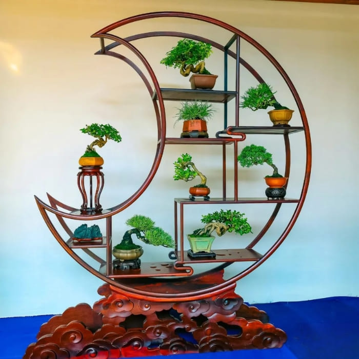 Kệ để cây bonsai 03