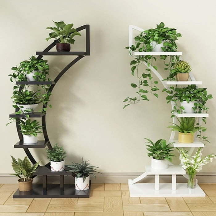 Kệ để cây bonsai 04