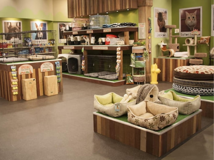 Mẫu thiết kế cửa hàng petshop 14