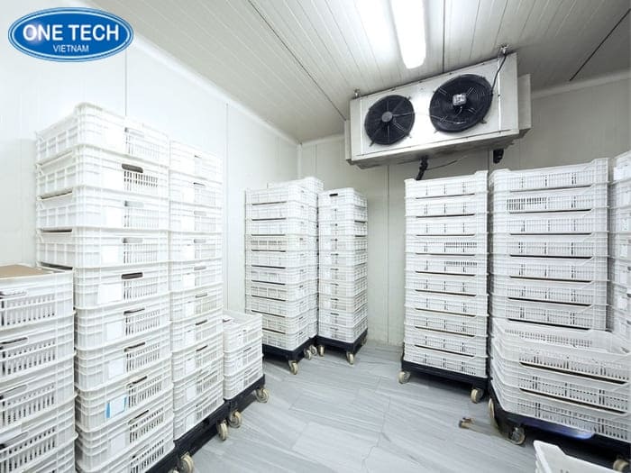 Các loại kho mát phổ biến
