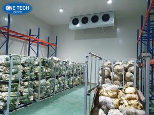 Tìm hiểu hệ thống kho mát
