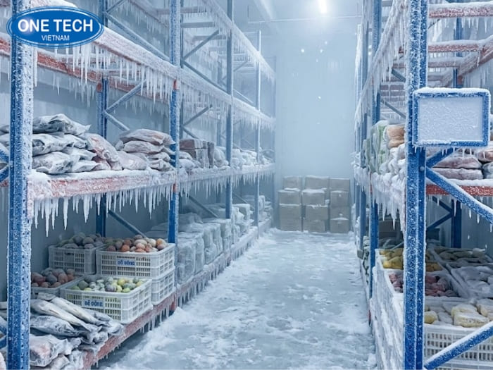 Kệ bị đóng băng trong kho lạnh gây ra nhiều vấn đề